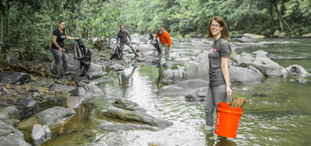 Indigo Ink team stream clean Liz